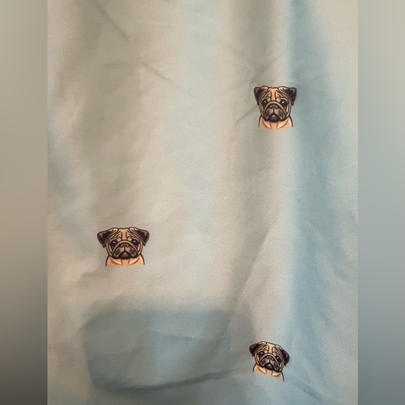 Brooklyn Cloth Kent Ave Light Blue‎ Volley Swim Trunks All Over PUG size Large - Picture 2 of 7